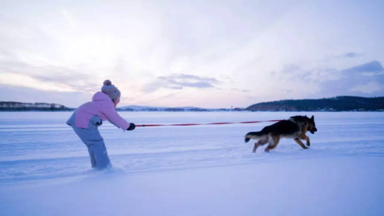 How to perform the 4x4 workout?