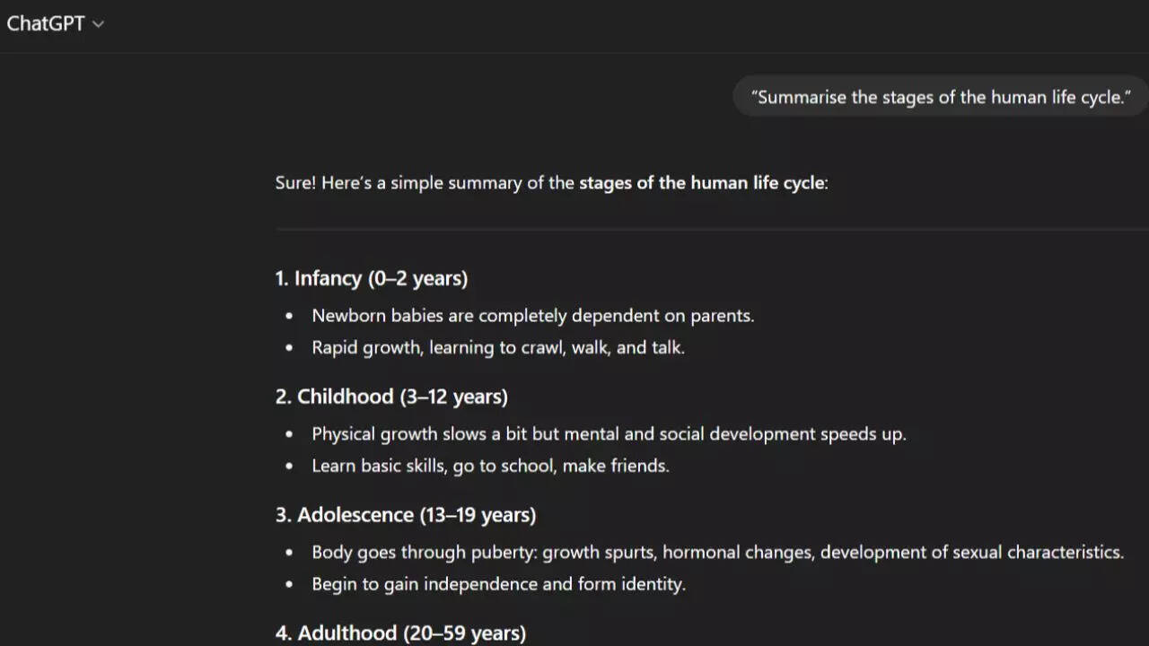 Summarise the stages of the human life cycle
