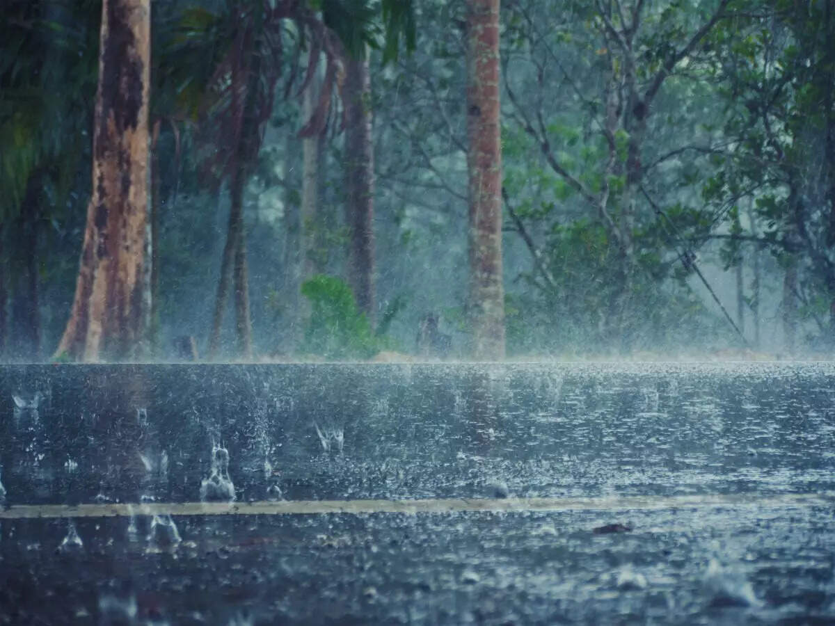 Rain