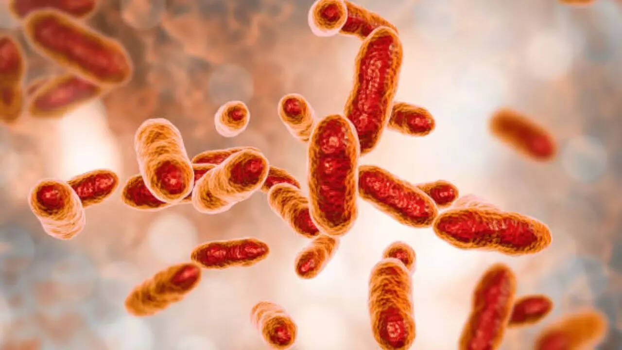Can heart attacks be caused by bacterial infections?