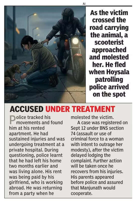 Web designer gets off car in Bengaluru to help injured dog, gets molested twice