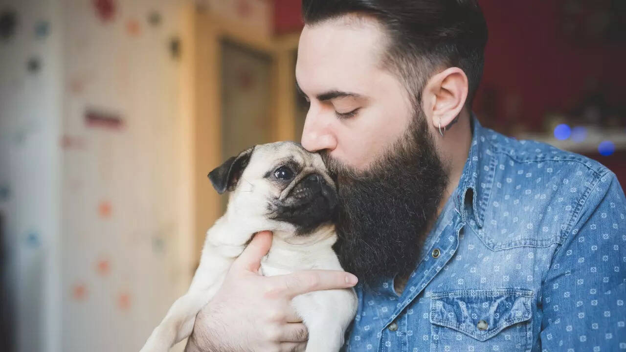 Men beard