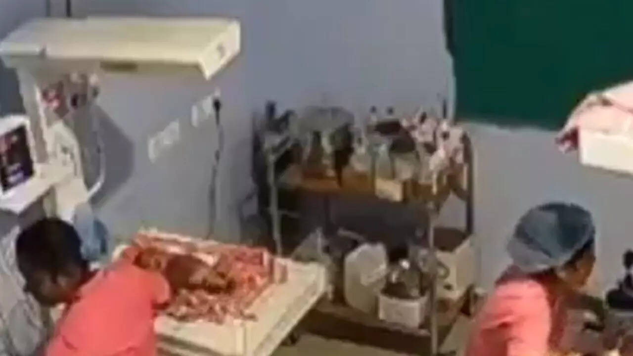 Anna langdon nude met Winnie based on some positive