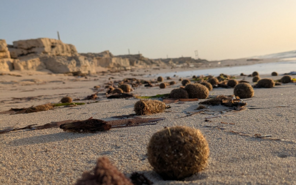 Neptune Balls (Photo: @marsguy/X)