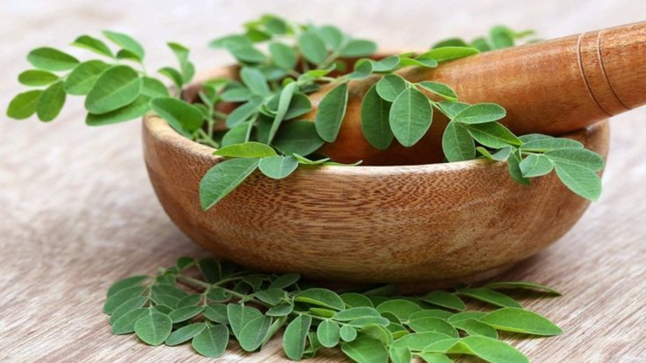 What is moringa?