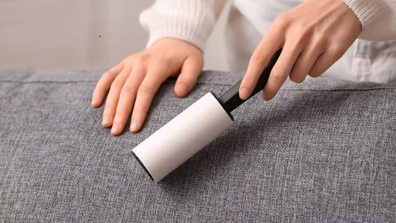 Lint Roller