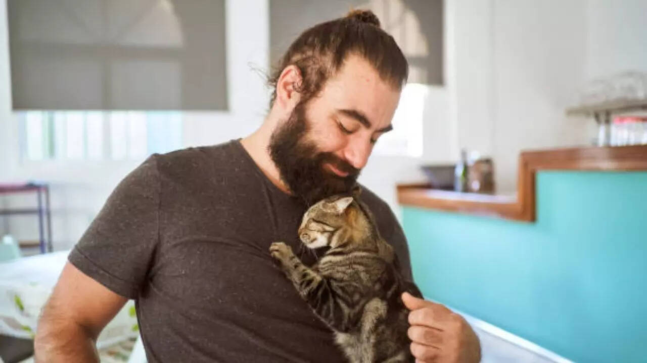 Can cats alter brain chemistry?