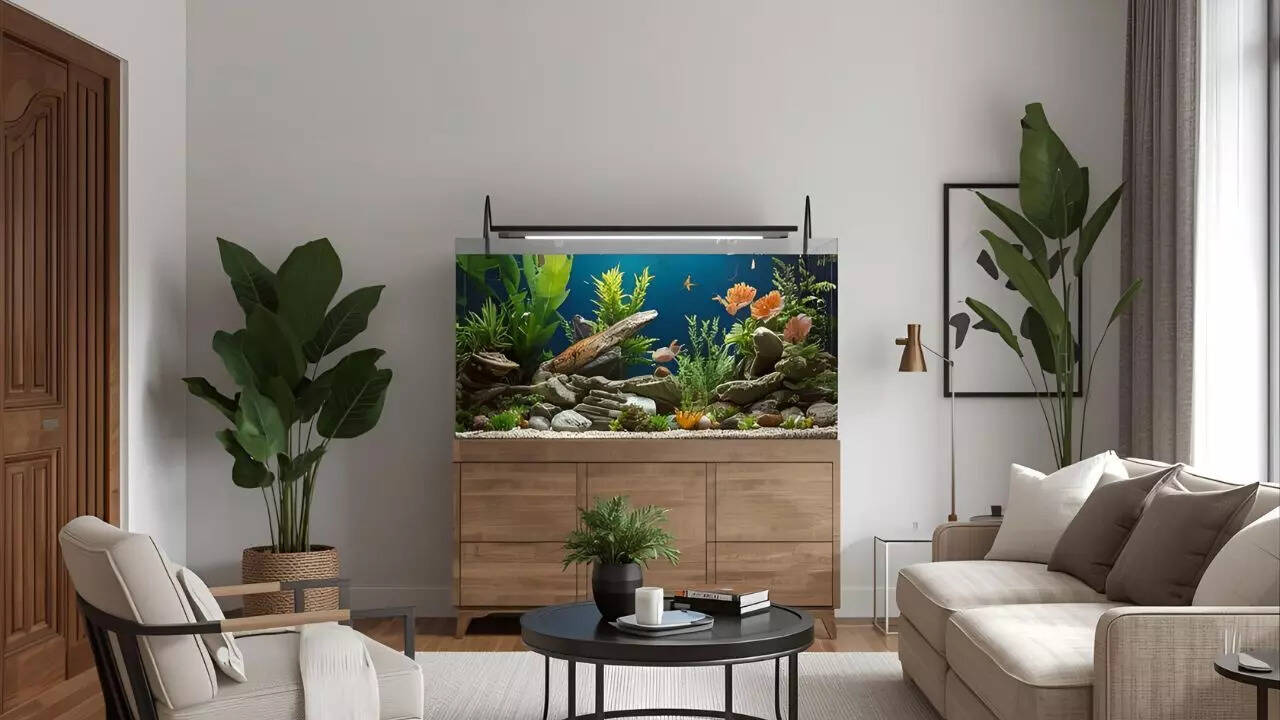 Place your aquarium in the right spot to attract luck