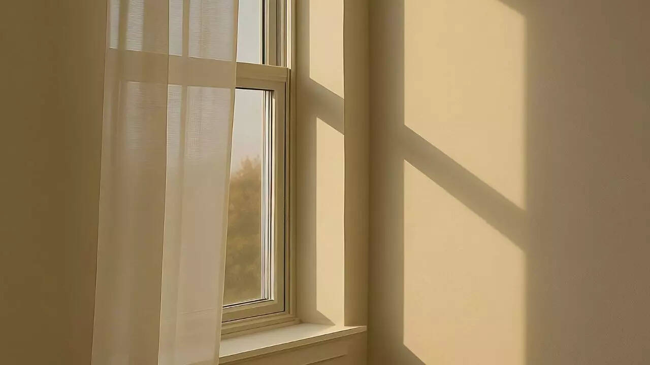 Image: Canva Sunlight
