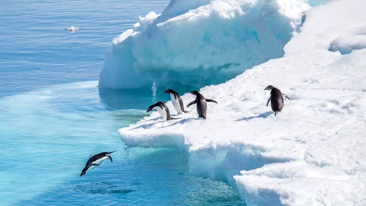 Antarctica