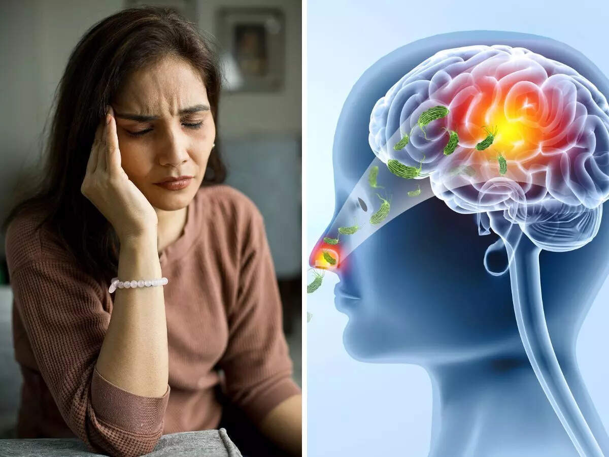 Brain eating amoeba