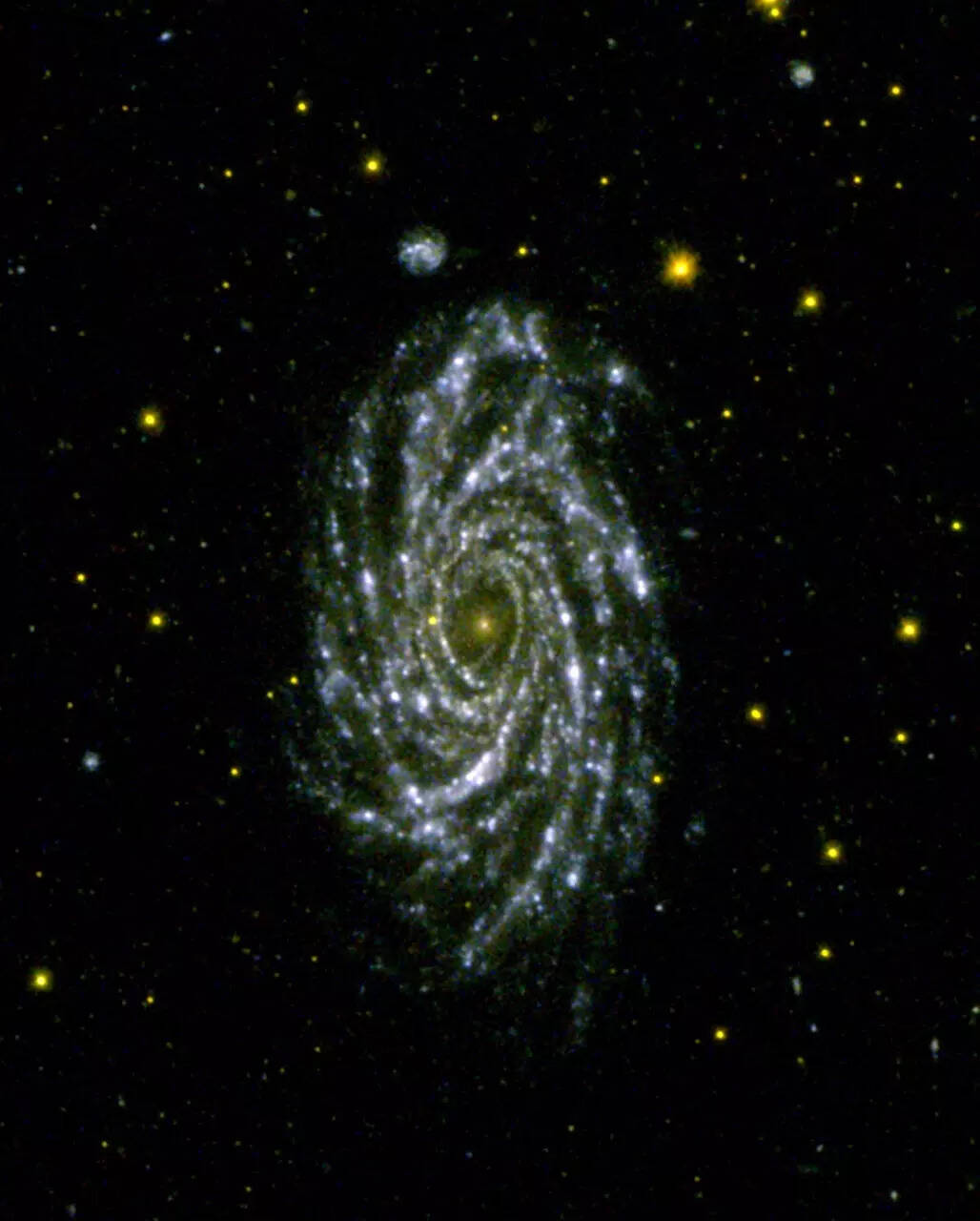 NGC1365 as seen by AstroSat UVIT is also known as Fornax propeller galaxy is a double barred galaxy at a distance of 56 million light years away (Credit: Isro) NGC1365 as seen by AstroSat UVIT is also known as Fornax propeller galaxy is a double barred galaxy at a distance of 56 million light years away (Credit: Isro)