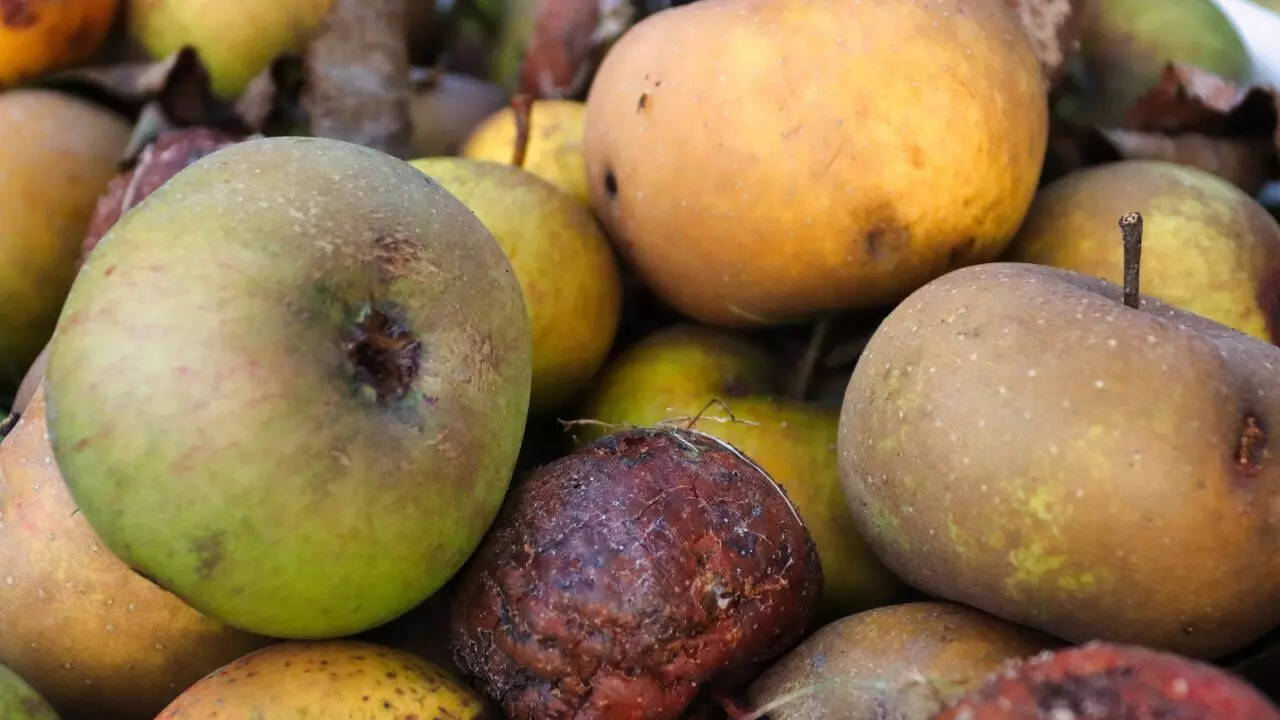 புதியதாக இருக்க ஆப்பிள்களை எவ்வாறு சேமிப்பது