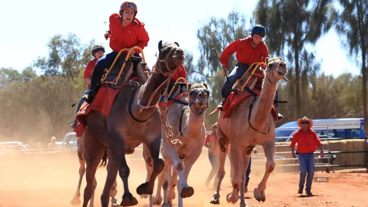 Birdsville Races
