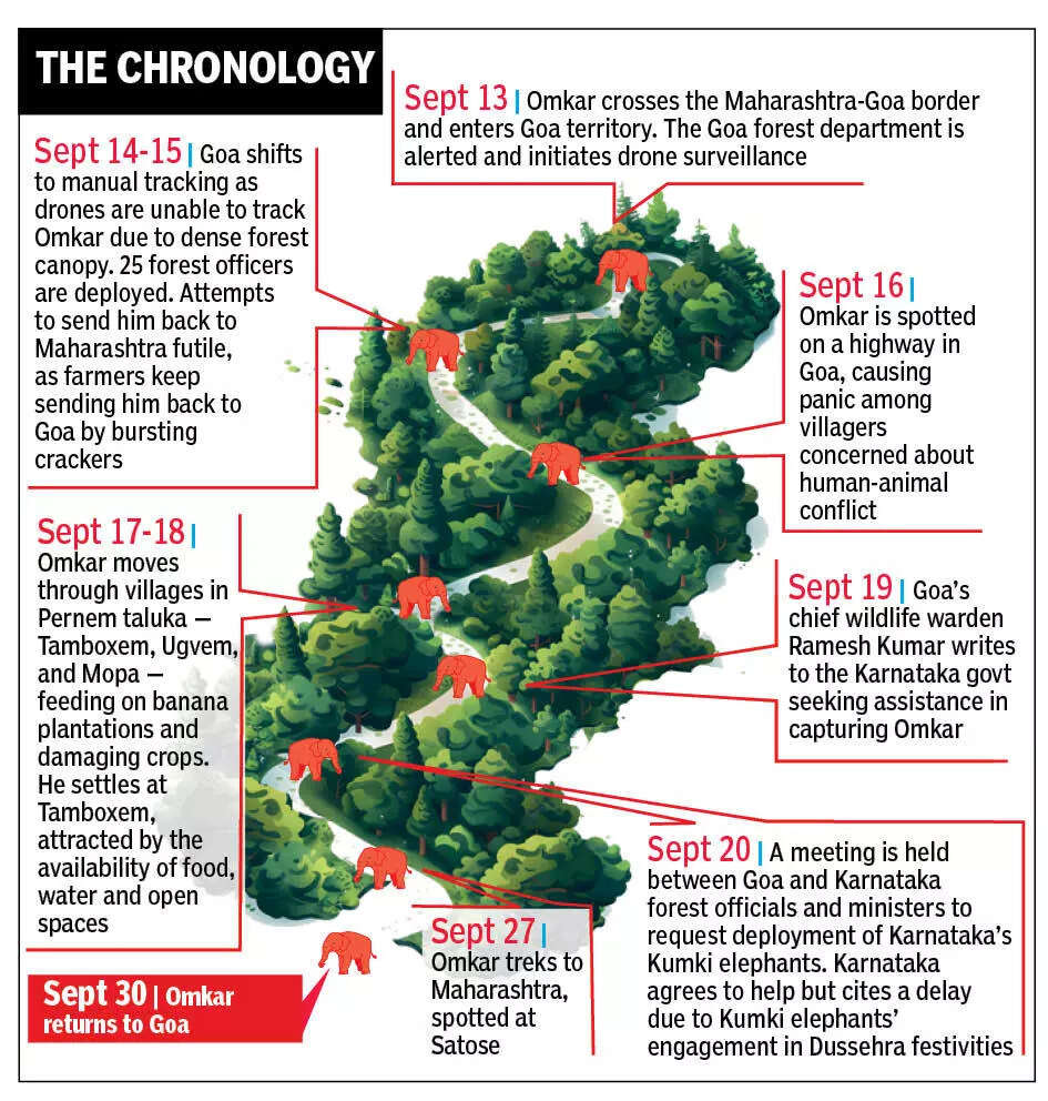The Chronology