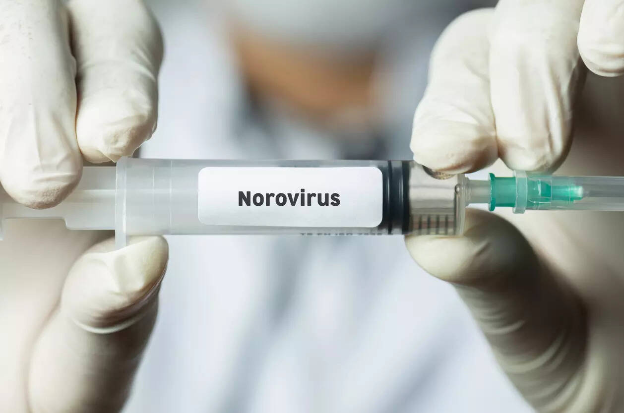 norovirus