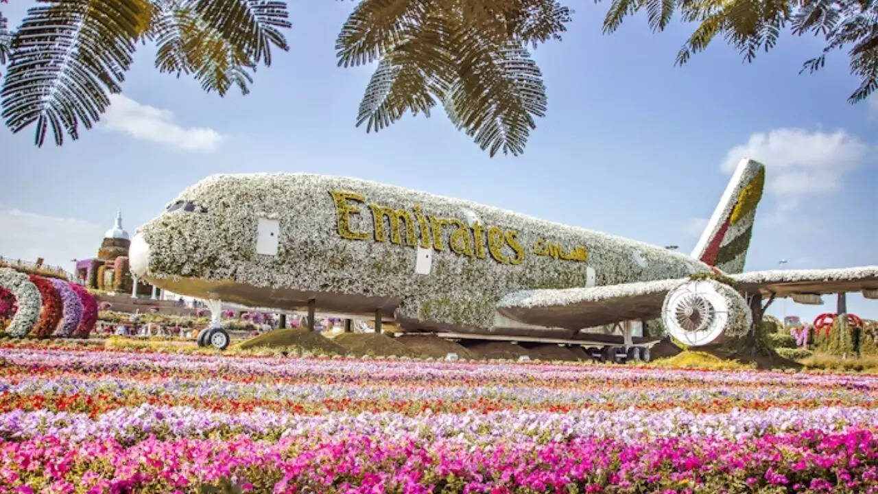 Emirates A380 floral replica