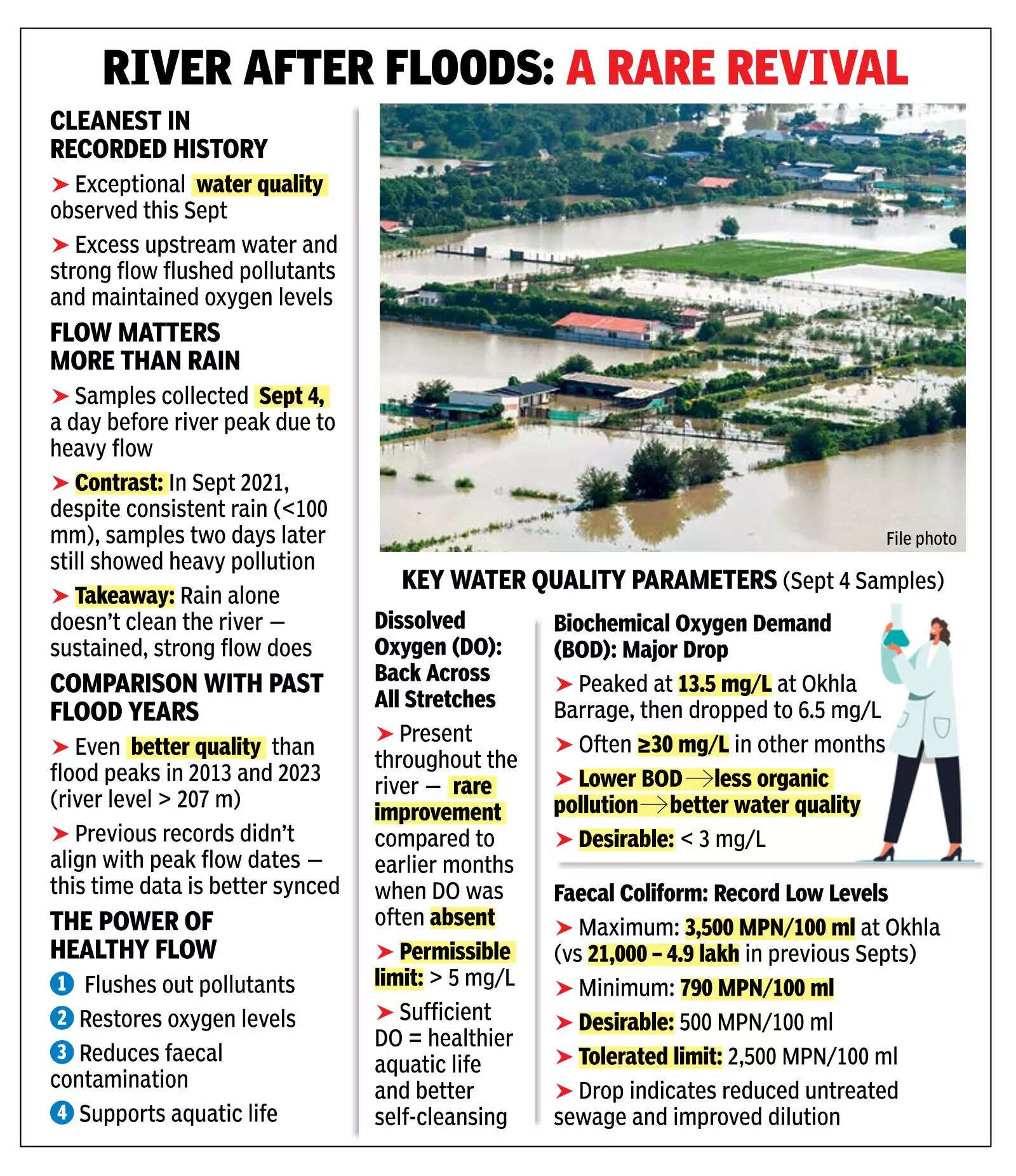 Deluge Gives Yamuna Clean Sweep, Its Best On Record