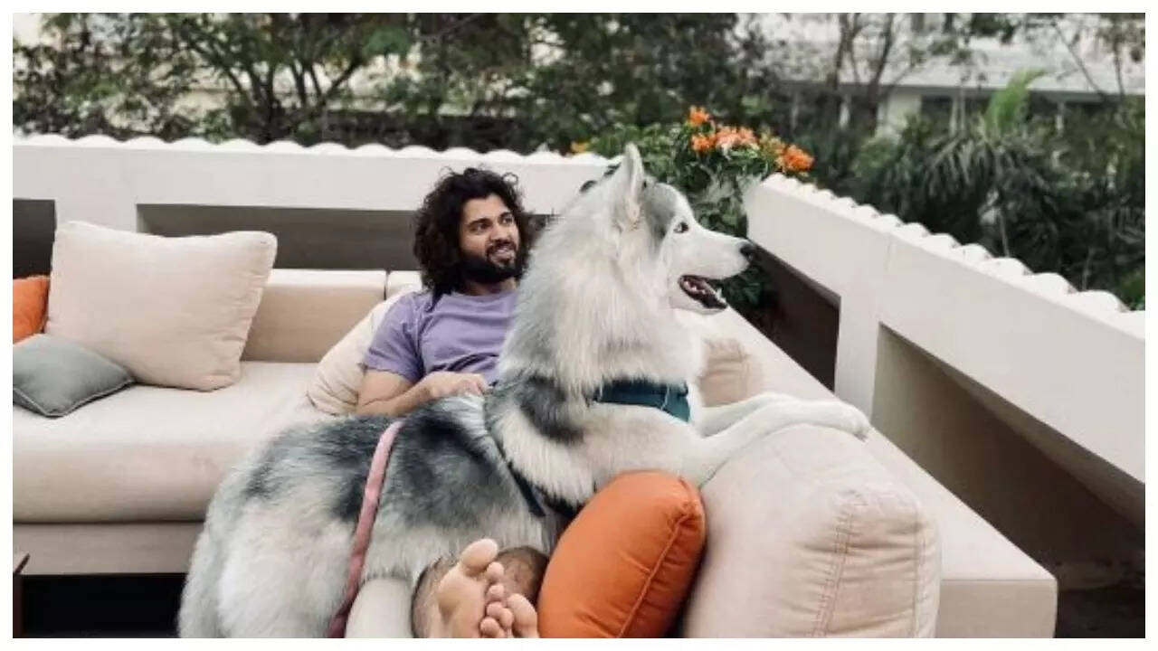 విజయ్ హౌస్ బాల్కనీ