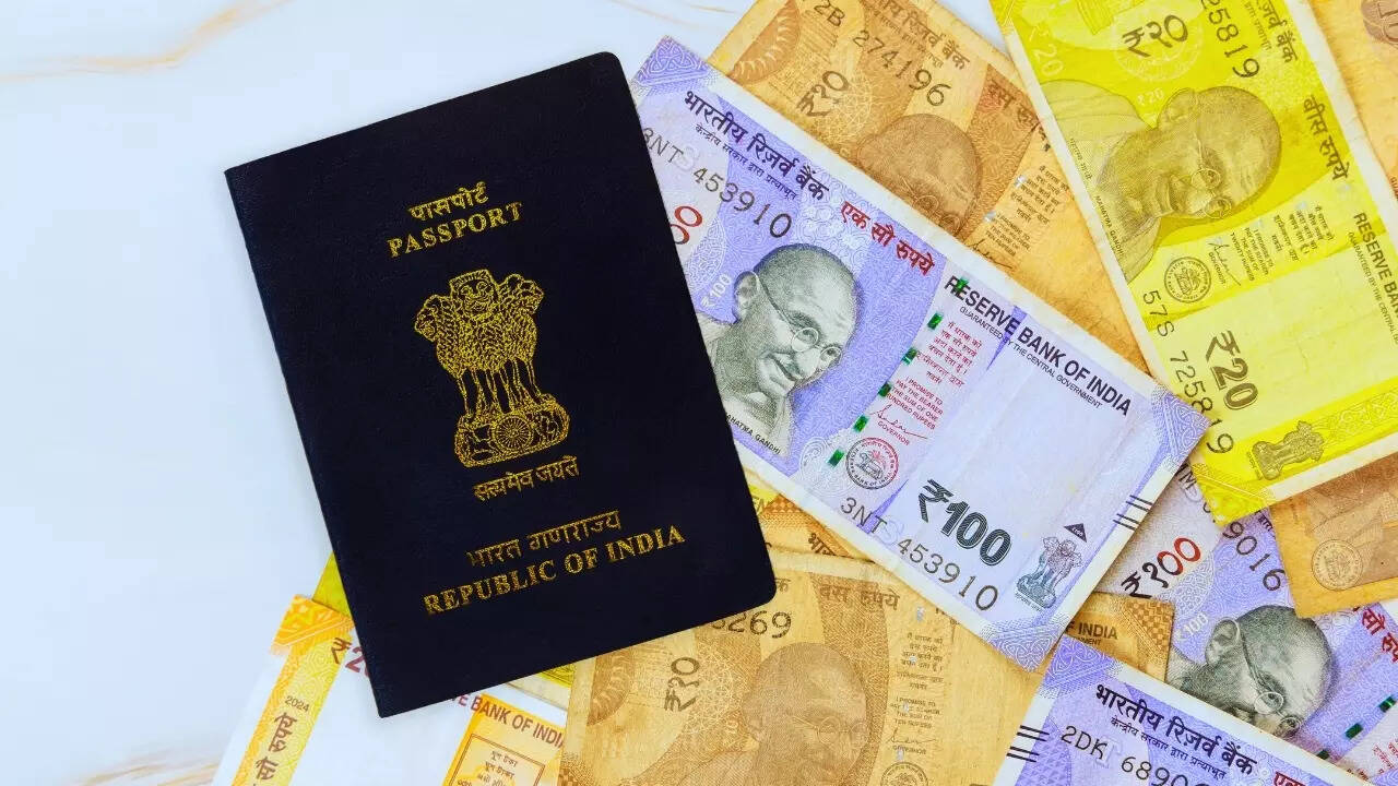 Indian passport and currency