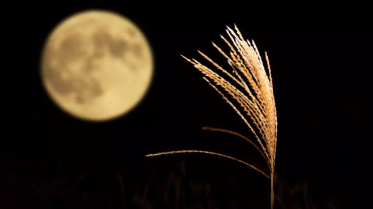 When, where and how to watch the supermoon?