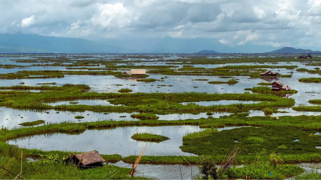 Keibul Lamjao National Park, Manipur