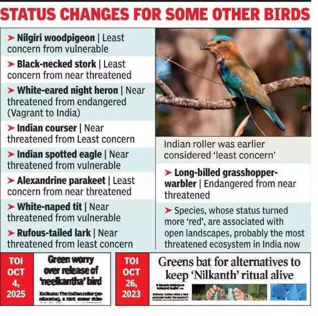 This species, traditionally released during Durga Puja in Bengal