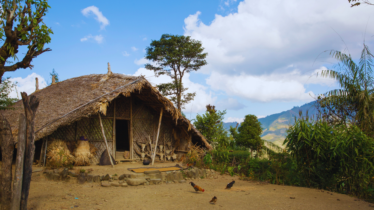 Longwa, Nagaland