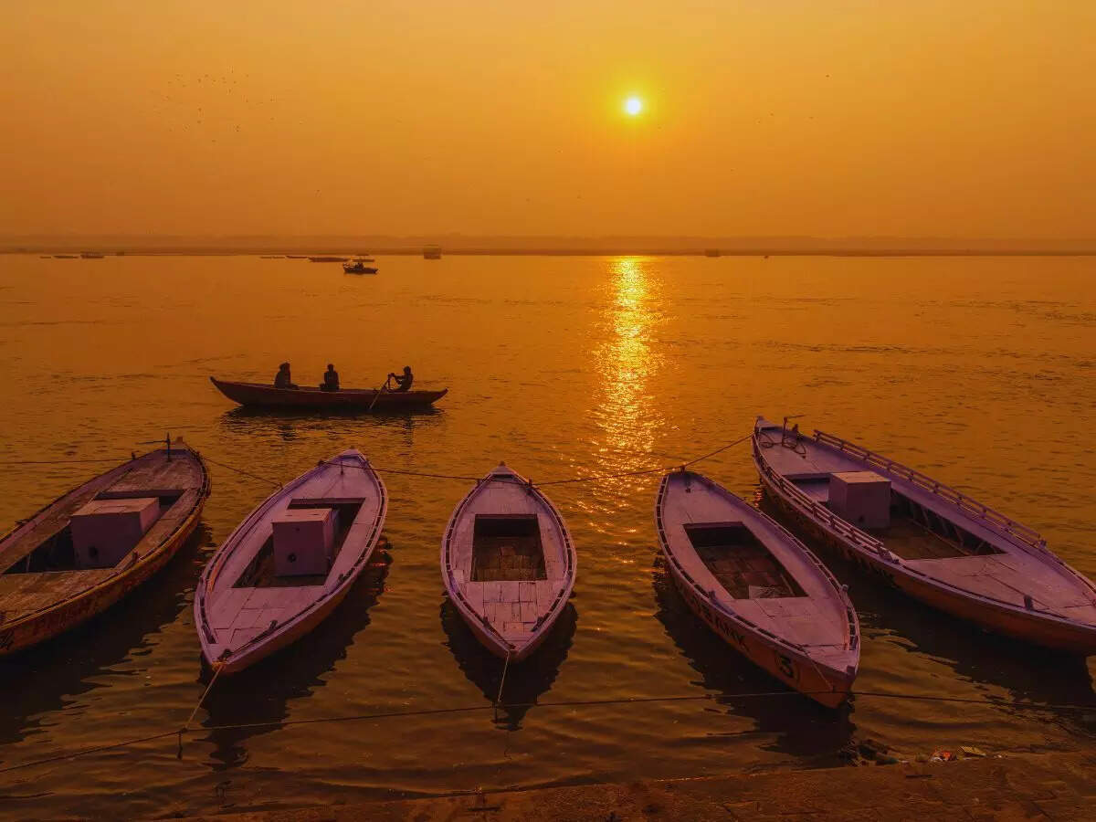 Gangetic Dolphins
