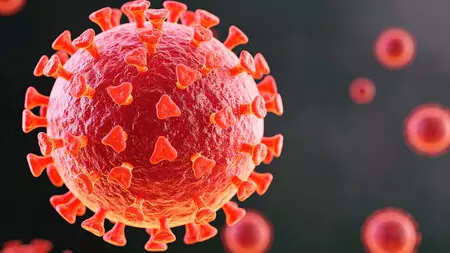 Covid virus