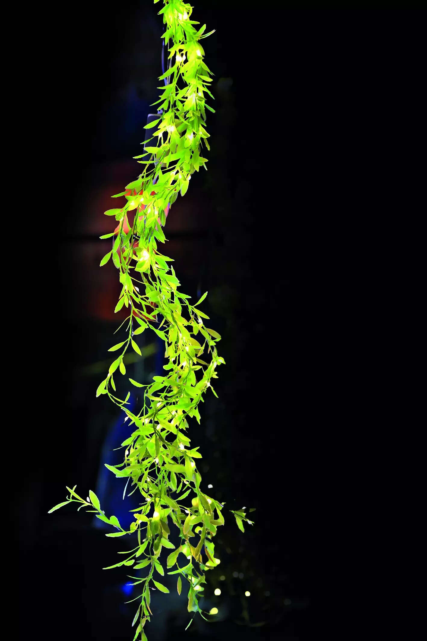 P4_SS_DSC_6851