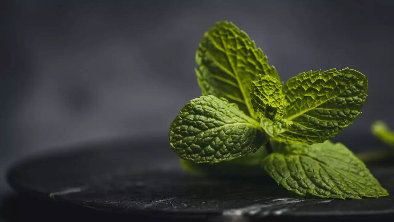 Peppermint