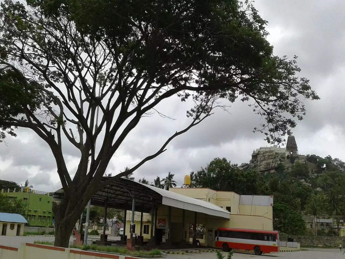 Melkoute