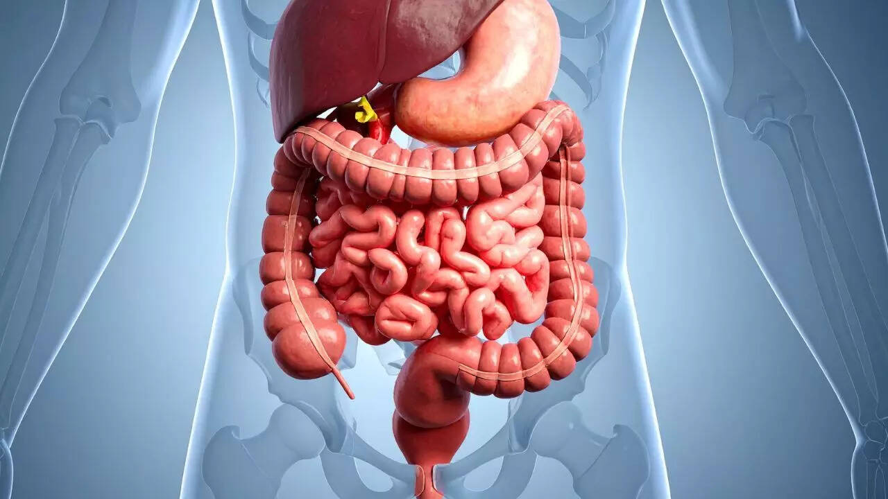 Image credits: Canva