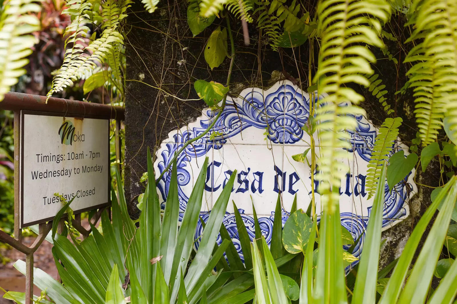 Can't adore the Portugese style nameplates enough