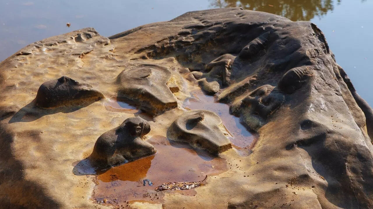 Sahasralinga in Karnataka