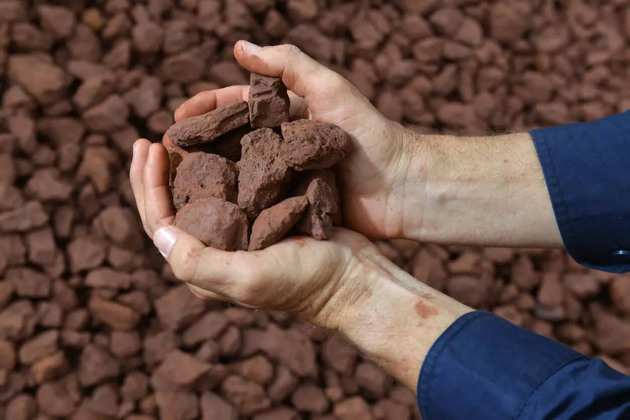 India unlikely to raise export duty soon on low-grade iron ore, pellets, says source