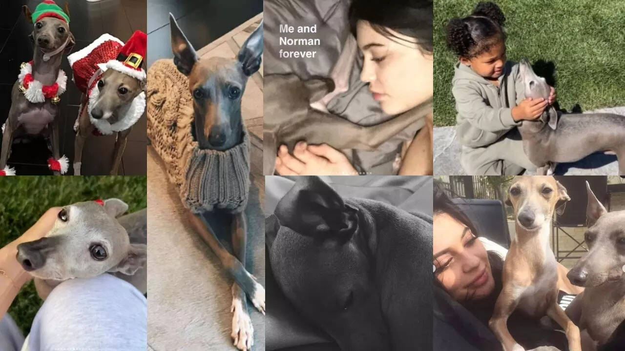 Kylie Jenner mourns her dog, Norman; ‘I had never loved anything so much’ | Kylie Jenner and her dog