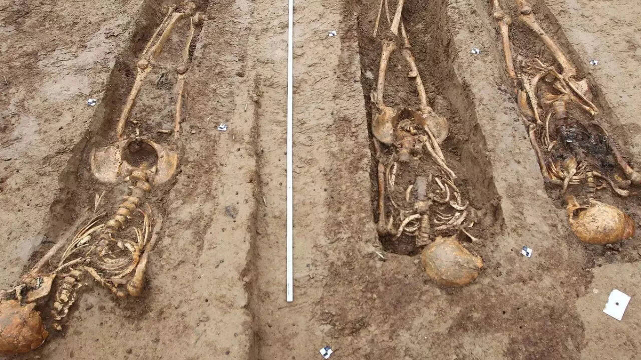 A mass grave and a scientific breakthrough