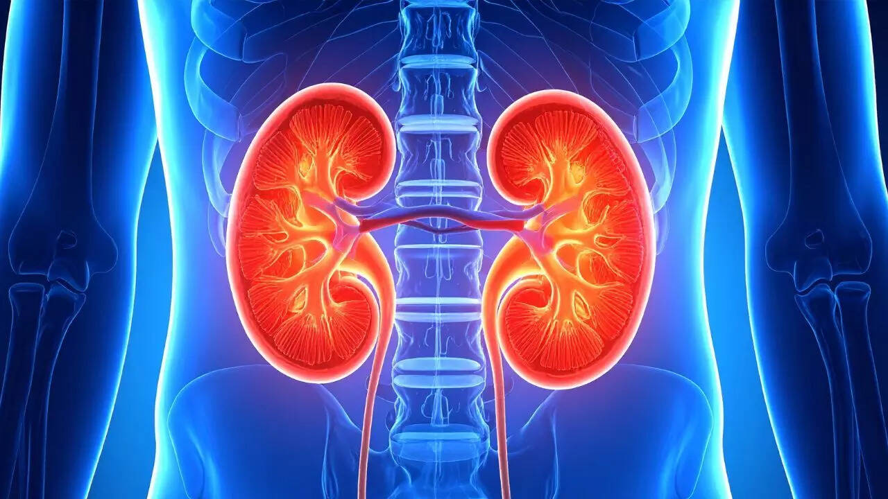 Image credits: Canva 7 common causes that can cause kidney failure