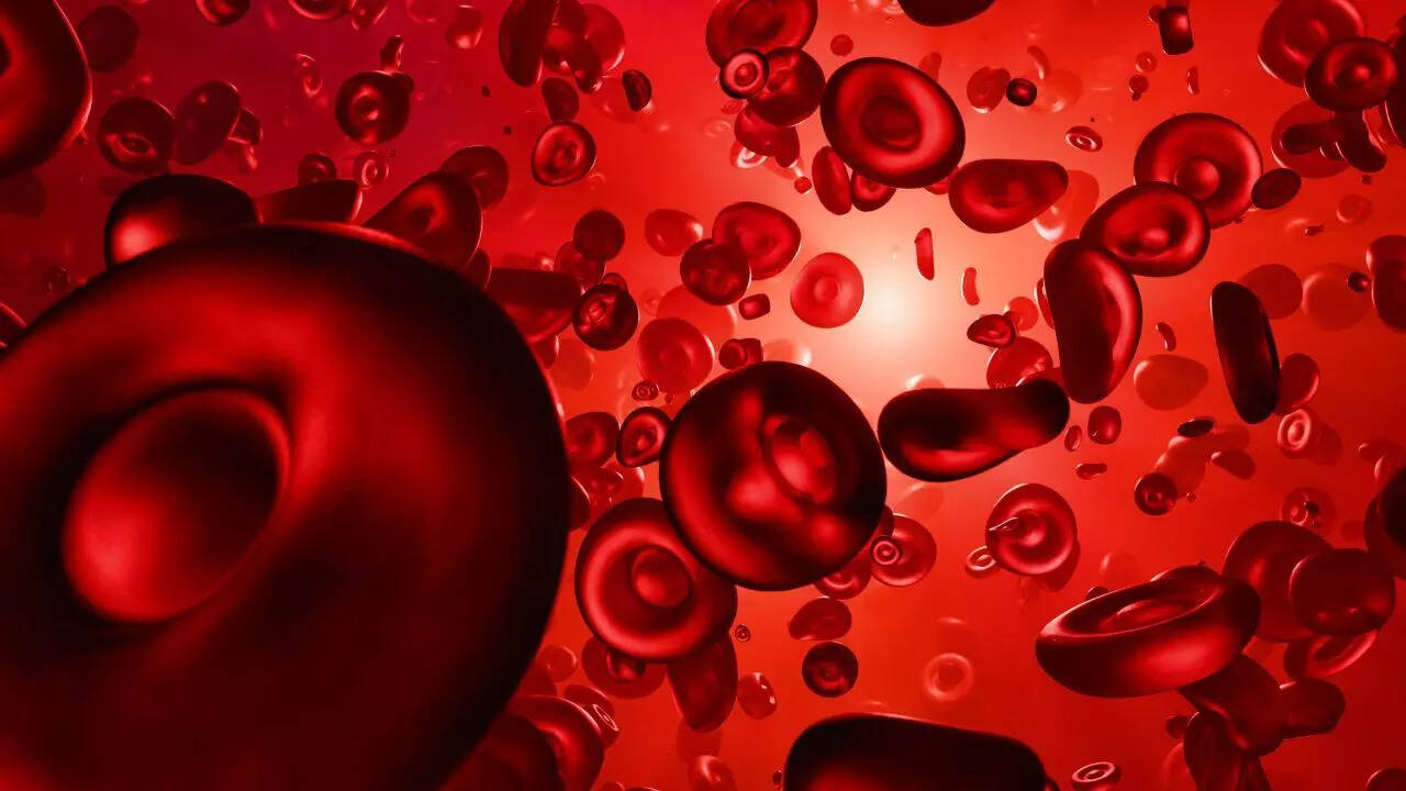 8 things you should know about blood infection