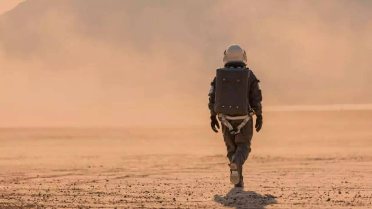 A training centre to improve skills, test technical knowledge & increase experience