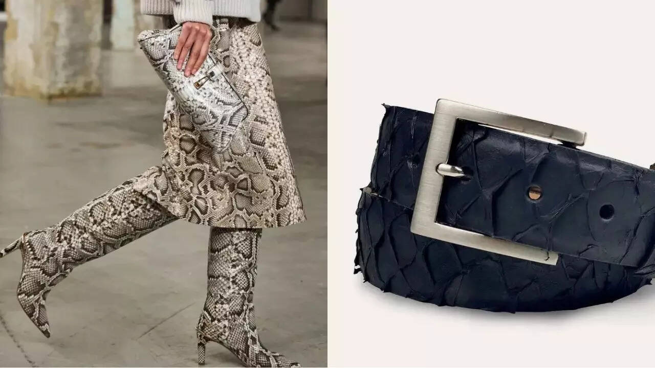 Predator python meets A-list fashion
