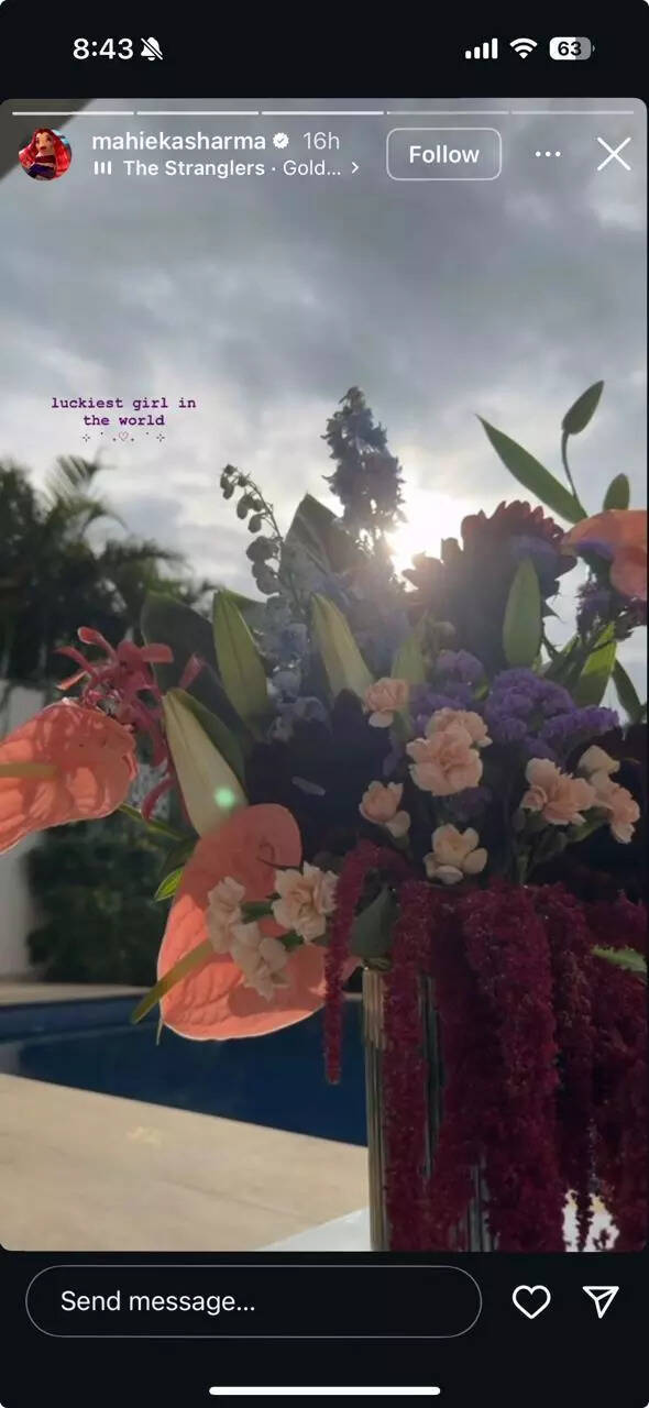 Mahieka Sharma Instagram story Mahieka Sharma