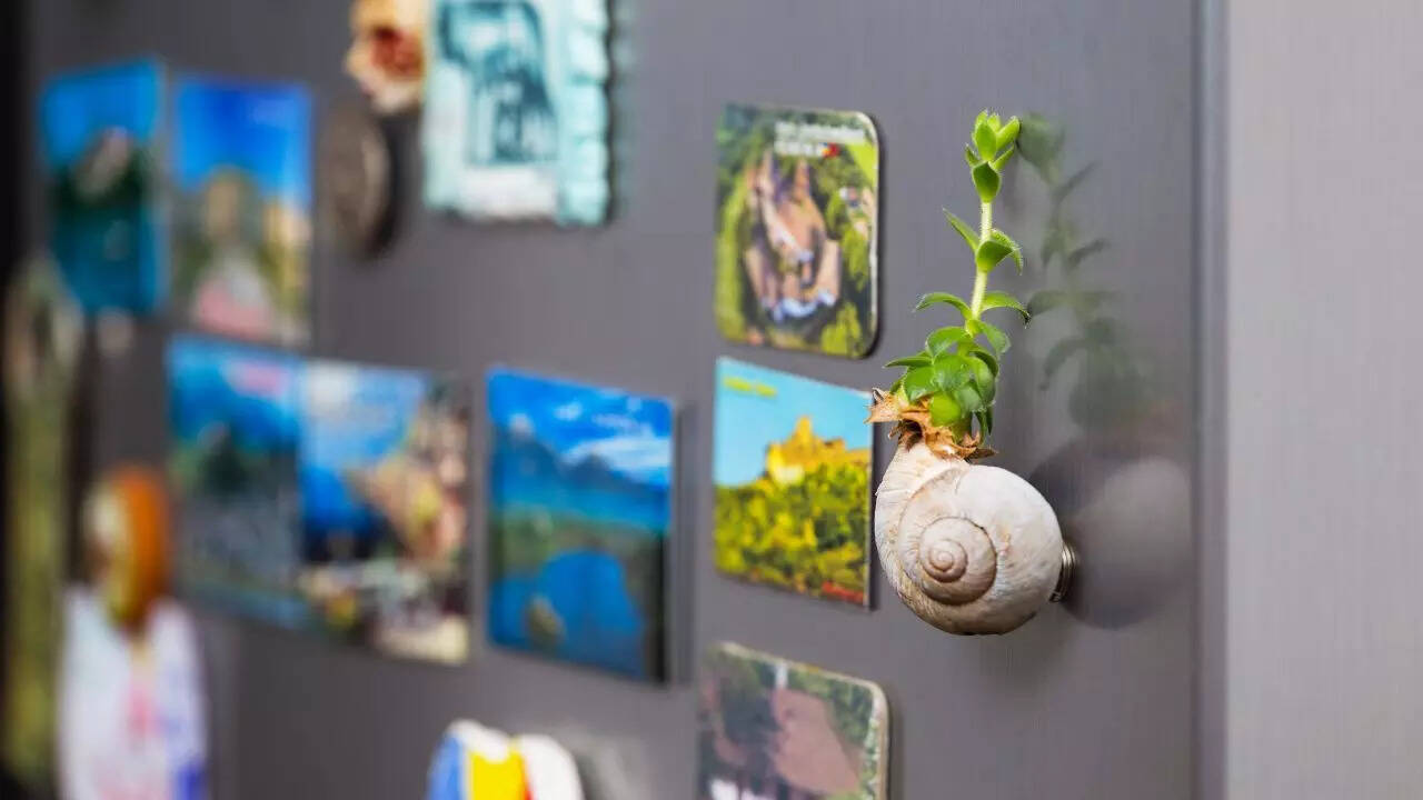 The harmless science behind fridge magnets