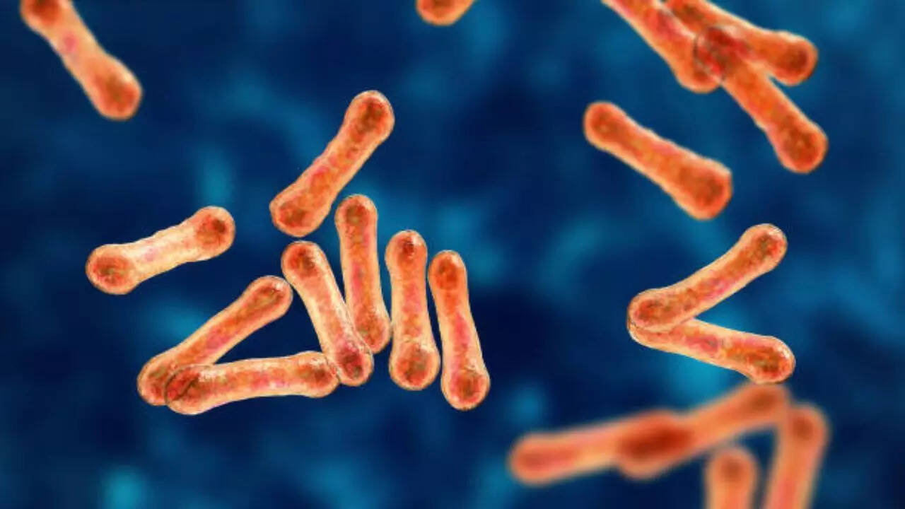 Image credits: Getty Images Diphtheria is a contagious disease caused by the toxins