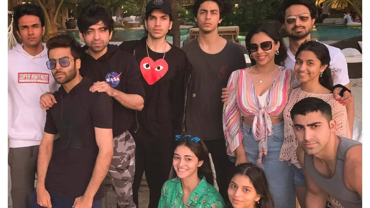 Shah Rukh Khan’s Alibaugh farmhouse_ The Rs 15 crore luxurious vacation house with a private helipad (3)