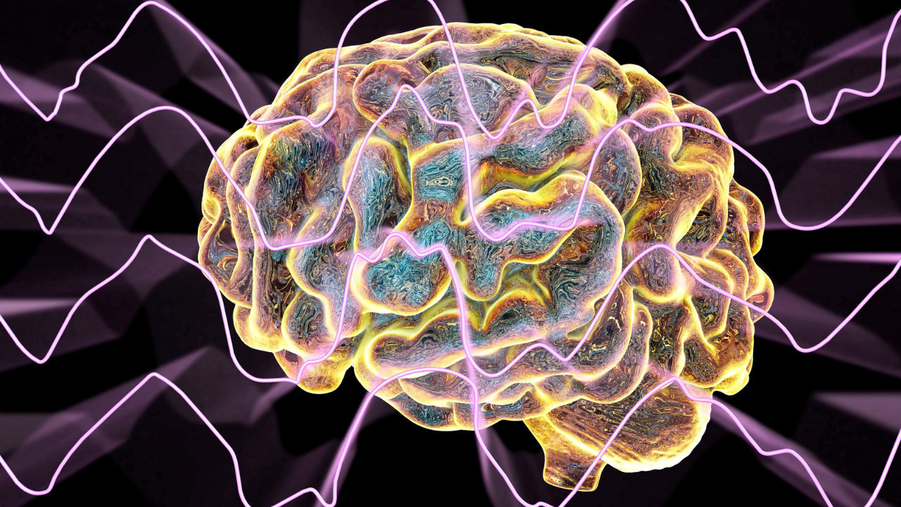 ​Image credits: Canva