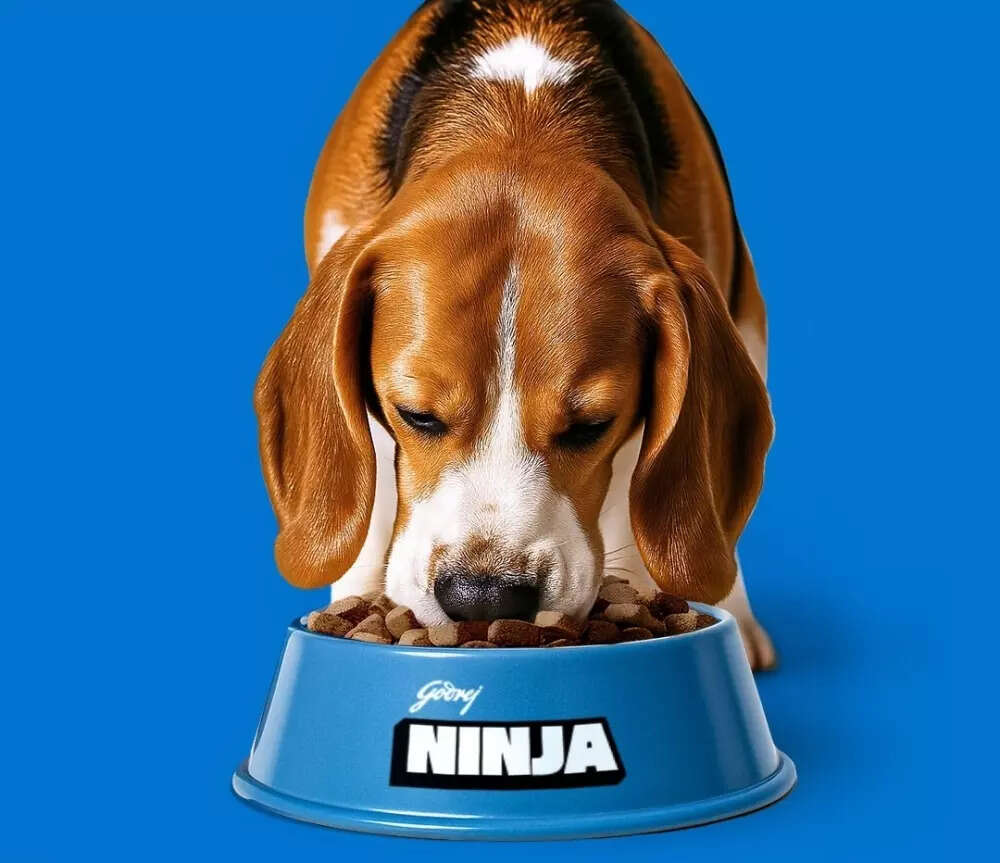 Each scoop does more than you think.Polyphenols work quietly to support your dog’s gut balance,  (1)