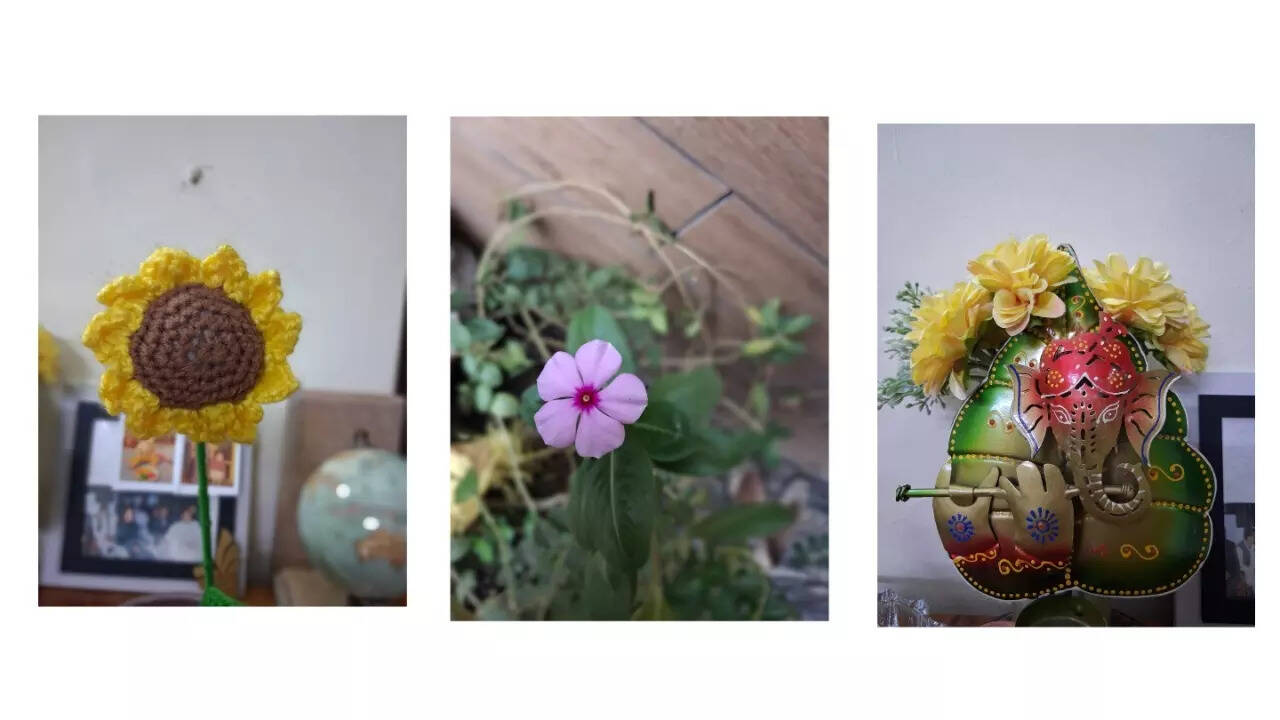 Samsung Galaxy A17 5G camera sample